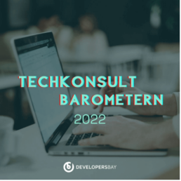 Developers Bay - Techkonsultbarometern 2022