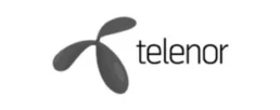 Developers Bay - företagslogga - Telenor